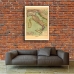 Vintage Map Poster - The Eleven Regions of Italy